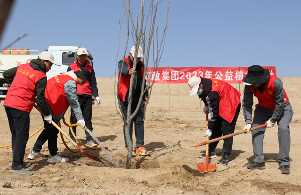 株株幼苗迎风立 点点新绿向春来——兰州新区市政集团开展义务植树活动